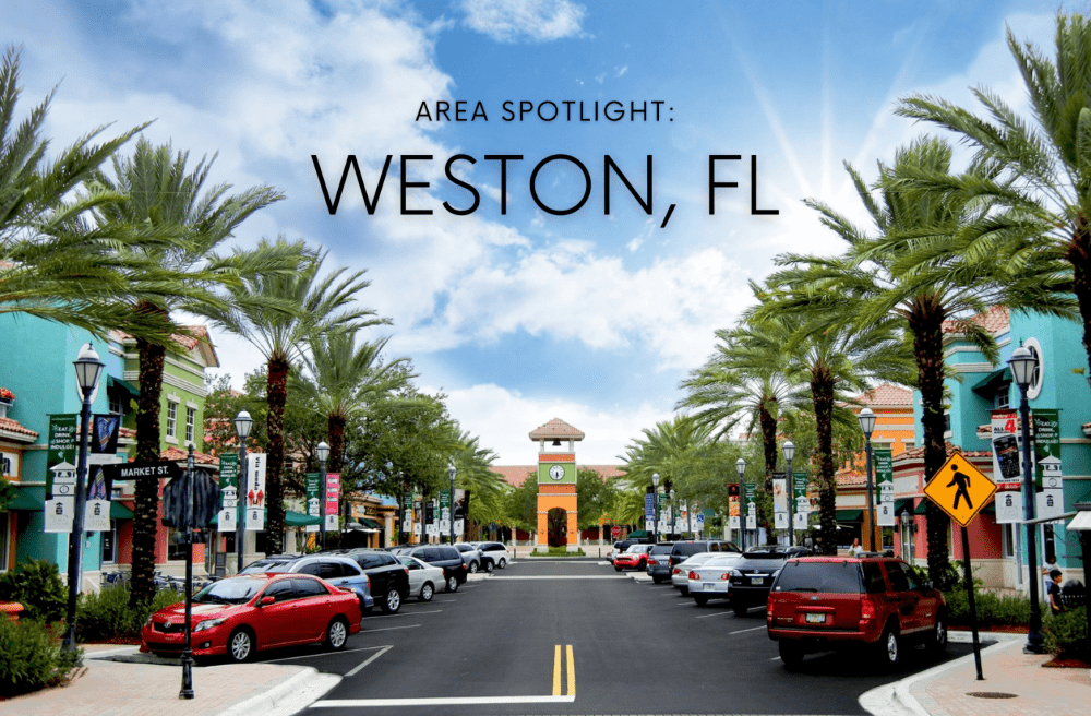 Palm trees lining Weston street