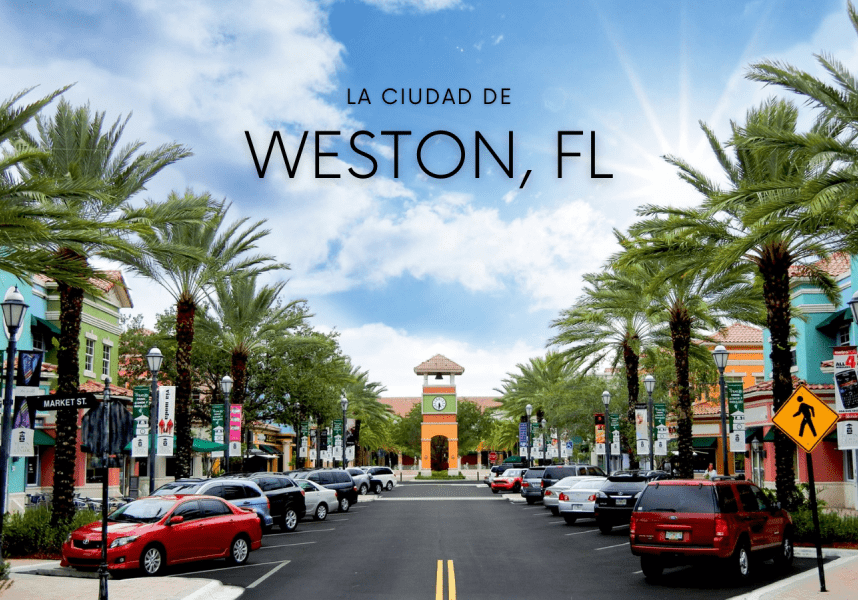 Palm-lined street in Weston, FL