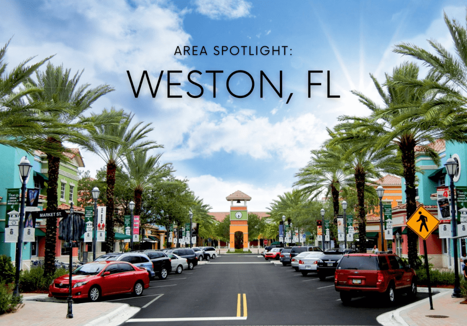 Palm trees lining Weston street